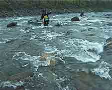 ������ ����������� ��������